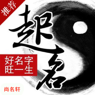 新野宝宝起名