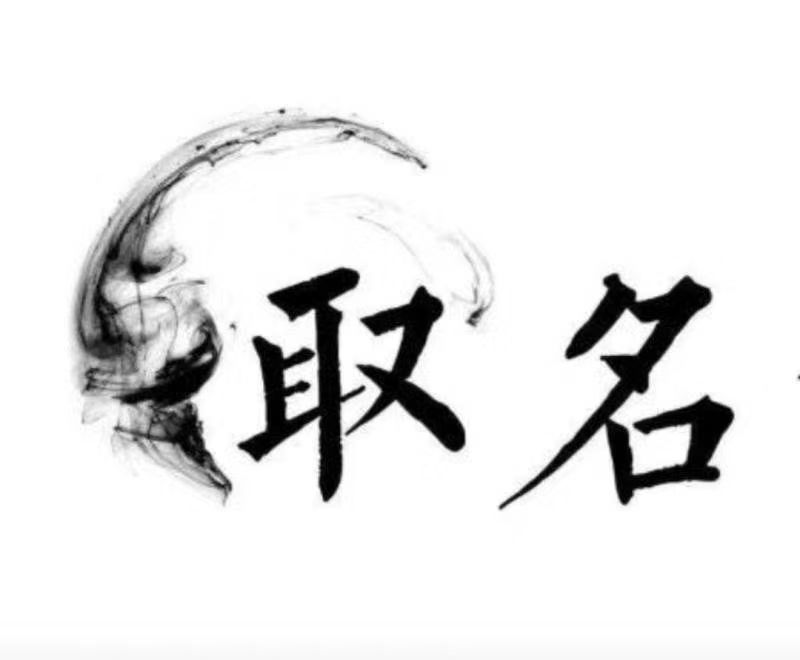  新野宝宝取名 大师一对一人工起名